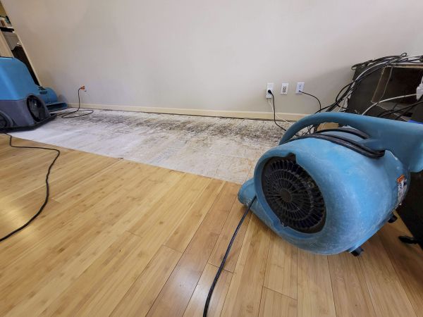 Cost of Water Damage Mitigation in Apple Valley