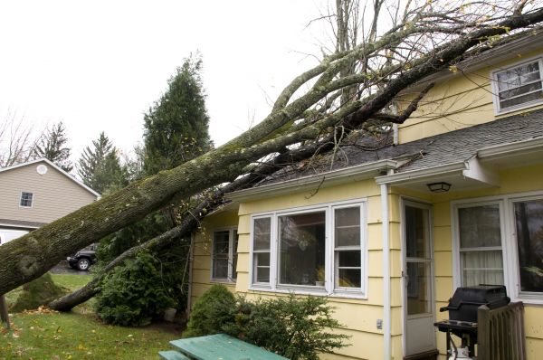 Hurricane Damage Repair in Apple Valley